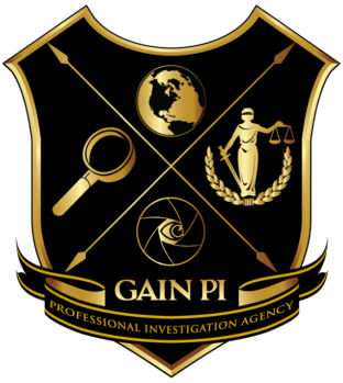 Professional Business Investigtors