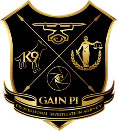 San Diego Private Investigator and Drone Services